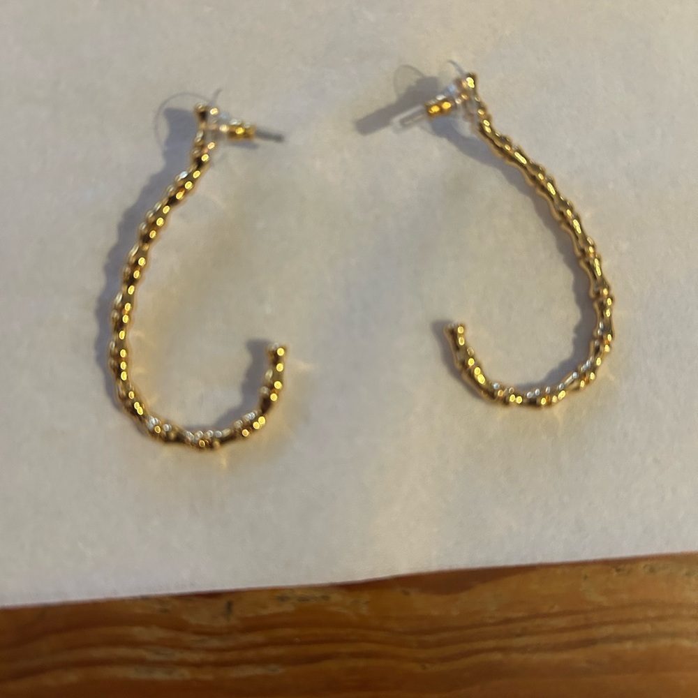 Tuckernuck Gold Bamboo Wright Earrings